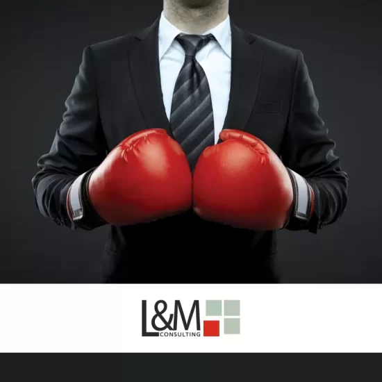 Parentesi Grafica - brochure L&M Consulting
